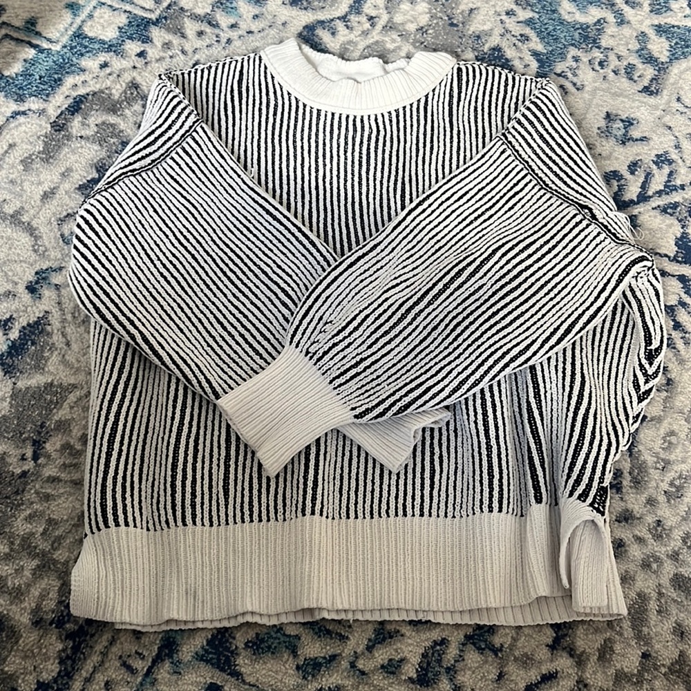 L Aerie Soft Sweater